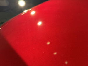 IMG_5313 (1)